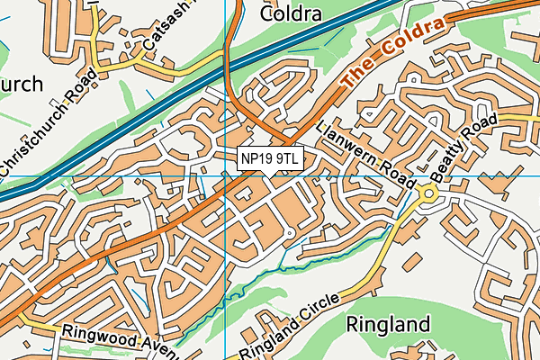 NP19 9TL map - OS VectorMap District (Ordnance Survey)