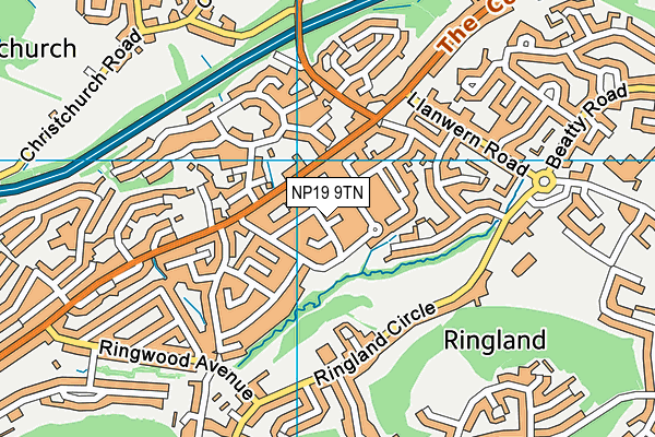 NP19 9TN map - OS VectorMap District (Ordnance Survey)
