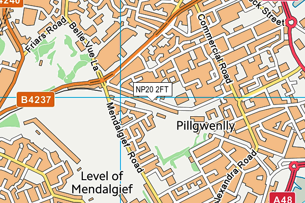 Pillgwenlly C.P. School map (NP20 2FT) - OS VectorMap District (Ordnance Survey)