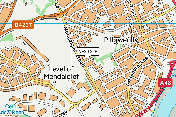 NP20 2LP map - OS VectorMap District (Ordnance Survey)