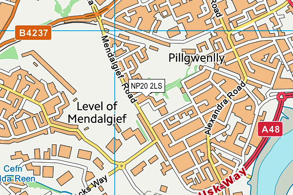 NP20 2LS map - OS VectorMap District (Ordnance Survey)