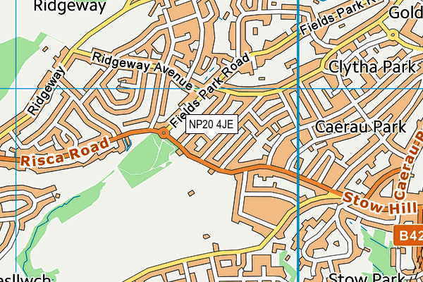 NP20 4JE map - OS VectorMap District (Ordnance Survey)