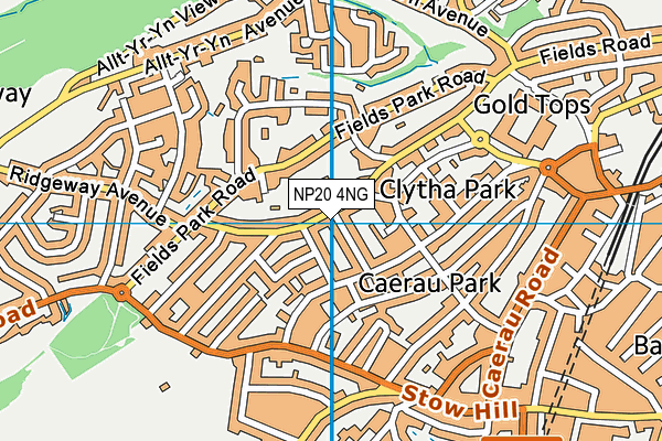 NP20 4NG map - OS VectorMap District (Ordnance Survey)