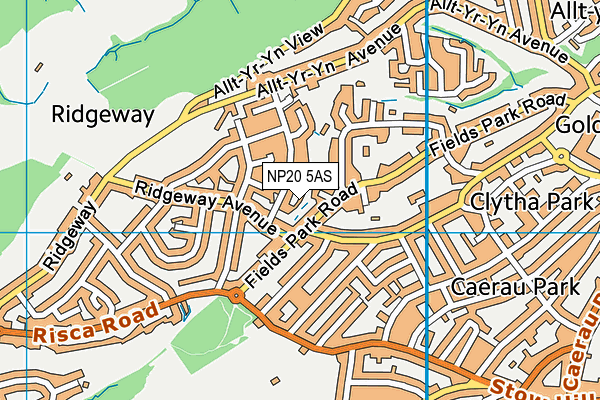 NP20 5AS map - OS VectorMap District (Ordnance Survey)