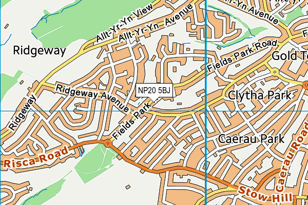 NP20 5BJ map - OS VectorMap District (Ordnance Survey)