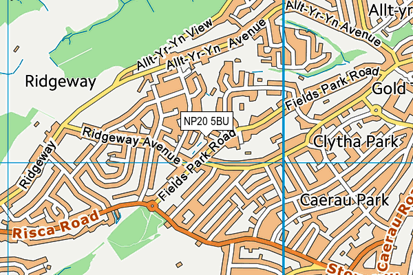 NP20 5BU map - OS VectorMap District (Ordnance Survey)