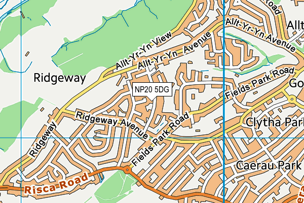 NP20 5DG map - OS VectorMap District (Ordnance Survey)