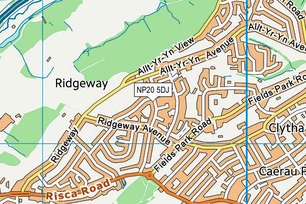 NP20 5DJ map - OS VectorMap District (Ordnance Survey)