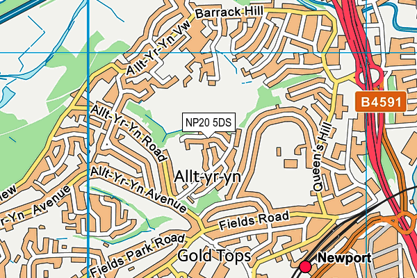 NP20 5DS map - OS VectorMap District (Ordnance Survey)