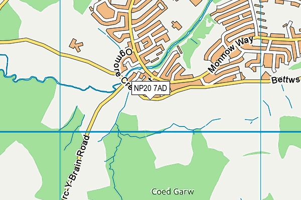 NP20 7AD map - OS VectorMap District (Ordnance Survey)