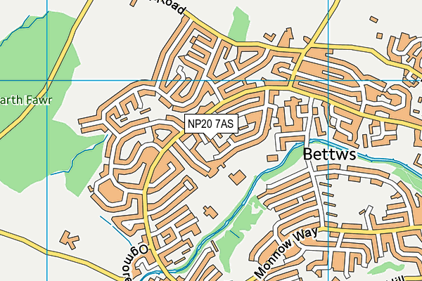 NP20 7AS map - OS VectorMap District (Ordnance Survey)
