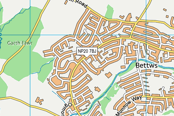 NP20 7BJ map - OS VectorMap District (Ordnance Survey)