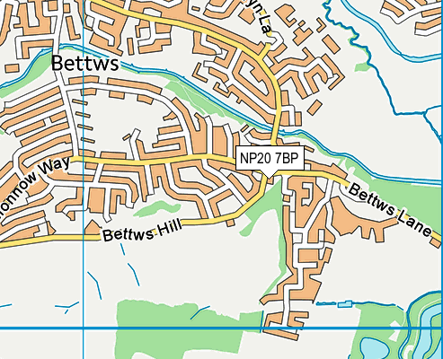 NP20 7BP map - OS VectorMap District (Ordnance Survey)