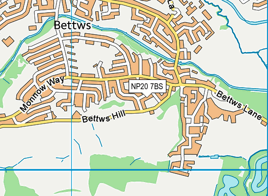 NP20 7BS map - OS VectorMap District (Ordnance Survey)