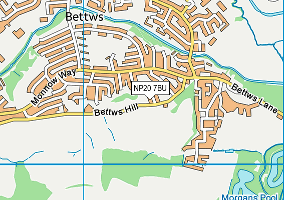 NP20 7BU map - OS VectorMap District (Ordnance Survey)