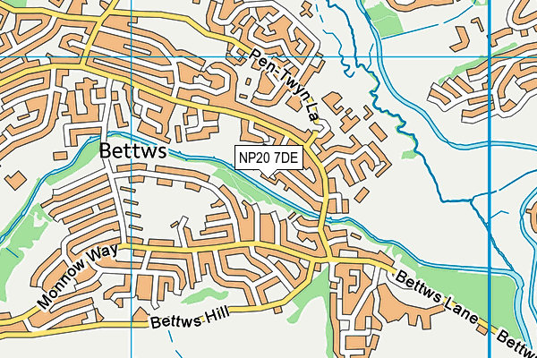 NP20 7DE map - OS VectorMap District (Ordnance Survey)
