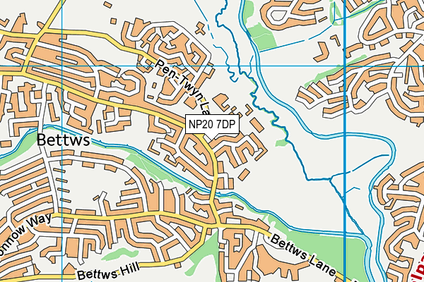 NP20 7DP map - OS VectorMap District (Ordnance Survey)