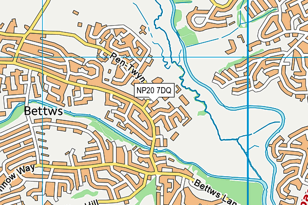 Millbrook Primary School map (NP20 7DQ) - OS VectorMap District (Ordnance Survey)
