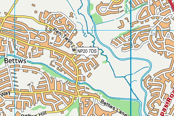NP20 7DS map - OS VectorMap District (Ordnance Survey)