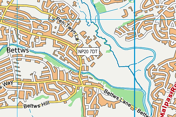NP20 7DT map - OS VectorMap District (Ordnance Survey)