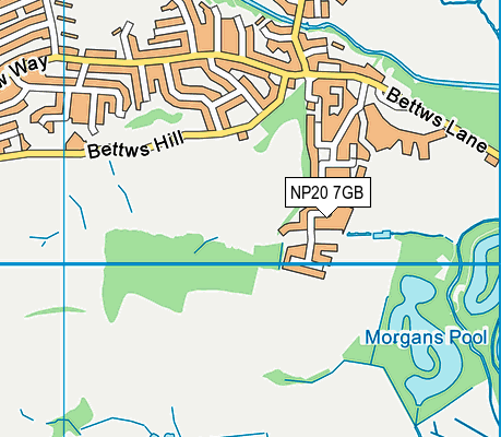 NP20 7GB map - OS VectorMap District (Ordnance Survey)