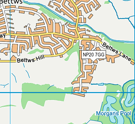 NP20 7GG map - OS VectorMap District (Ordnance Survey)
