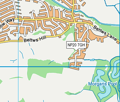 NP20 7GH map - OS VectorMap District (Ordnance Survey)