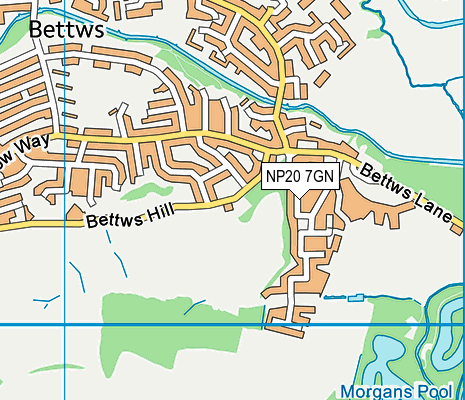 NP20 7GN map - OS VectorMap District (Ordnance Survey)