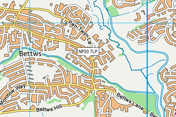 NP20 7LP map - OS VectorMap District (Ordnance Survey)