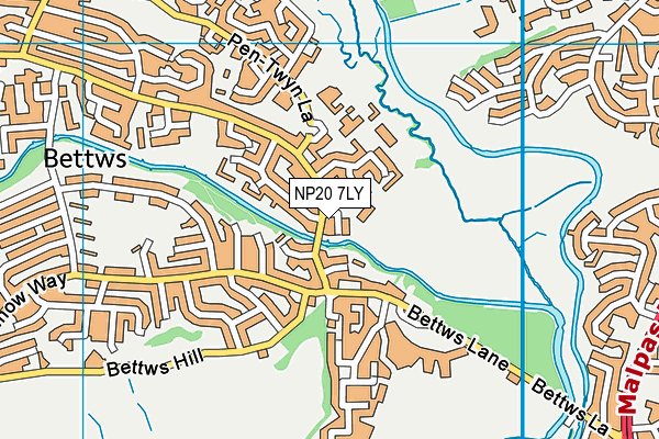 NP20 7LY map - OS VectorMap District (Ordnance Survey)