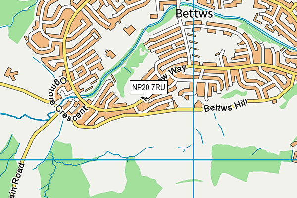 NP20 7RU map - OS VectorMap District (Ordnance Survey)