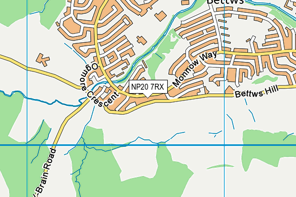 NP20 7RX map - OS VectorMap District (Ordnance Survey)