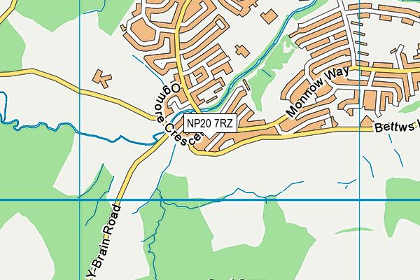 NP20 7RZ map - OS VectorMap District (Ordnance Survey)