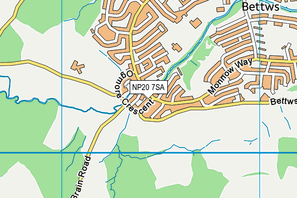 NP20 7SA map - OS VectorMap District (Ordnance Survey)