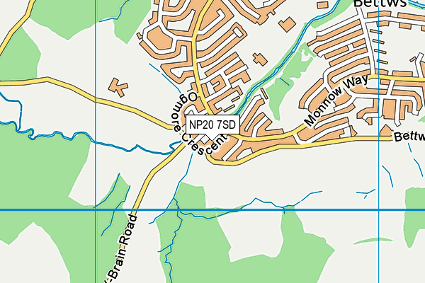 NP20 7SD map - OS VectorMap District (Ordnance Survey)