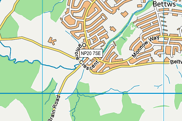 NP20 7SE map - OS VectorMap District (Ordnance Survey)