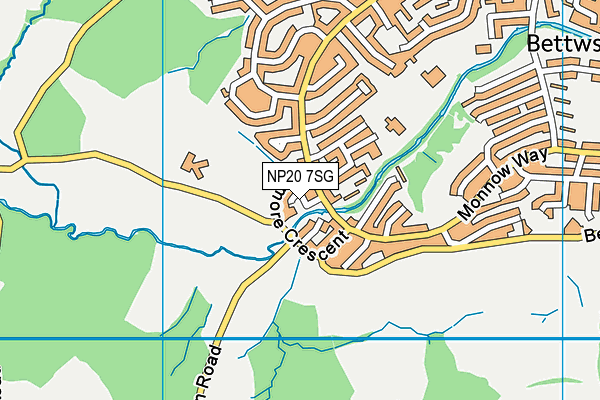 NP20 7SG map - OS VectorMap District (Ordnance Survey)