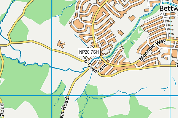 NP20 7SH map - OS VectorMap District (Ordnance Survey)
