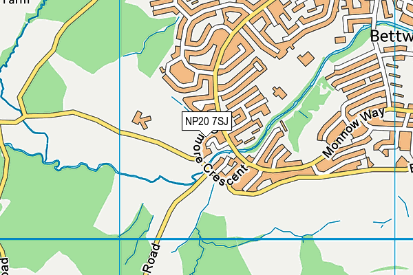 NP20 7SJ map - OS VectorMap District (Ordnance Survey)