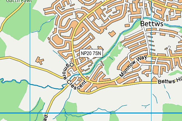 NP20 7SN map - OS VectorMap District (Ordnance Survey)