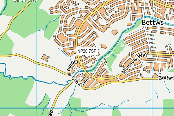 NP20 7SP map - OS VectorMap District (Ordnance Survey)