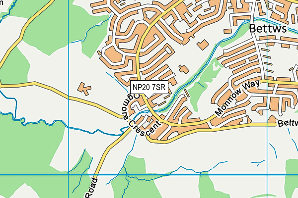 NP20 7SR map - OS VectorMap District (Ordnance Survey)