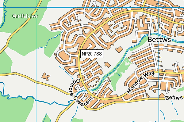 NP20 7SS map - OS VectorMap District (Ordnance Survey)