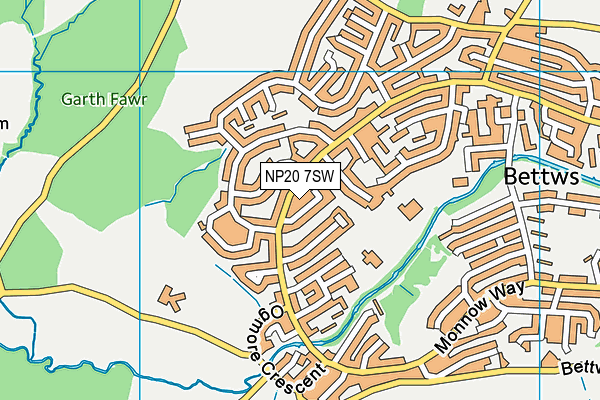 NP20 7SW map - OS VectorMap District (Ordnance Survey)