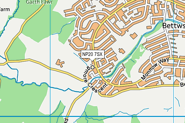 NP20 7SX map - OS VectorMap District (Ordnance Survey)