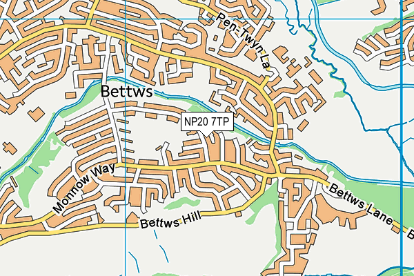 NP20 7TP map - OS VectorMap District (Ordnance Survey)