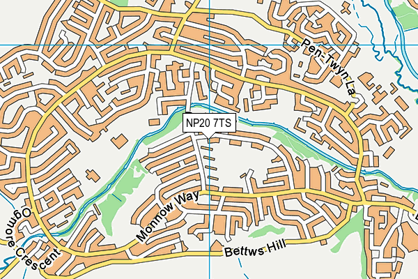 NP20 7TS map - OS VectorMap District (Ordnance Survey)