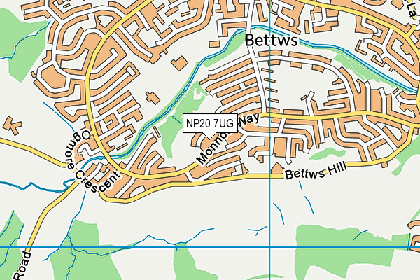 NP20 7UG map - OS VectorMap District (Ordnance Survey)