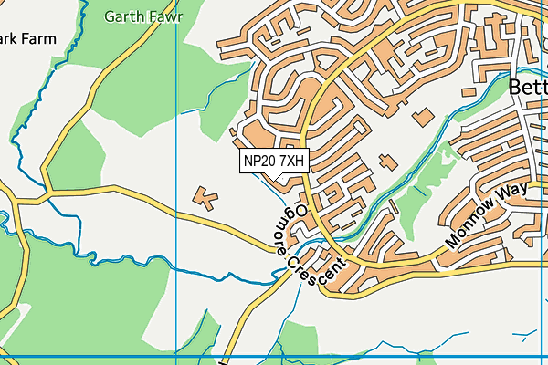 NP20 7XH map - OS VectorMap District (Ordnance Survey)