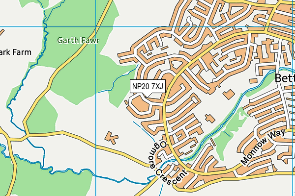 NP20 7XJ map - OS VectorMap District (Ordnance Survey)